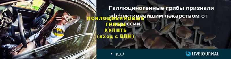 кракен сайт  Северская  Галлюциногенные грибы Psilocybine cubensis  продажа наркотиков 